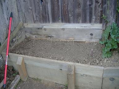 The newly planted hop garden